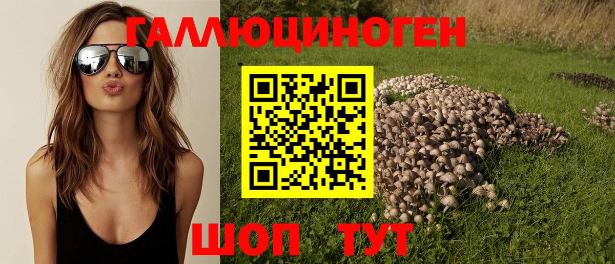 Кирово-Чепецк  Псилоцибиновые грибы GOLDEN TEACHER  Вход с VPN 